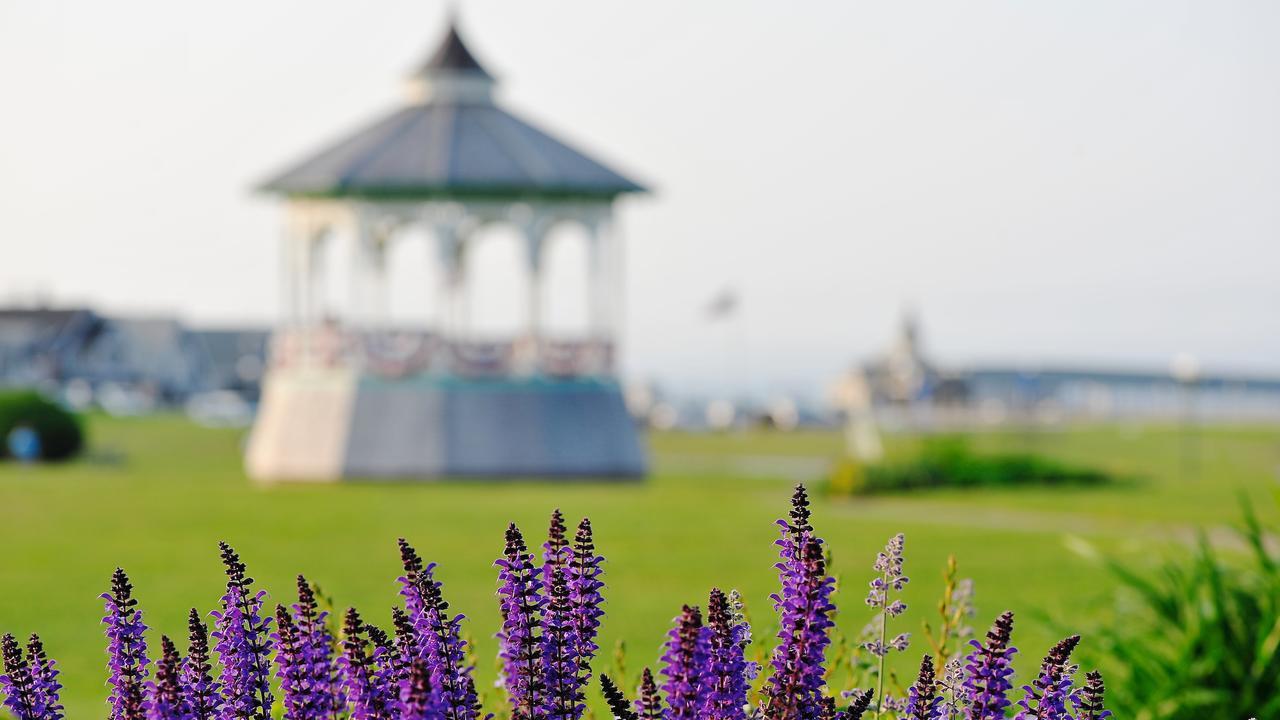 Pequot Hotel Oak Bluffs Zewnętrze zdjęcie